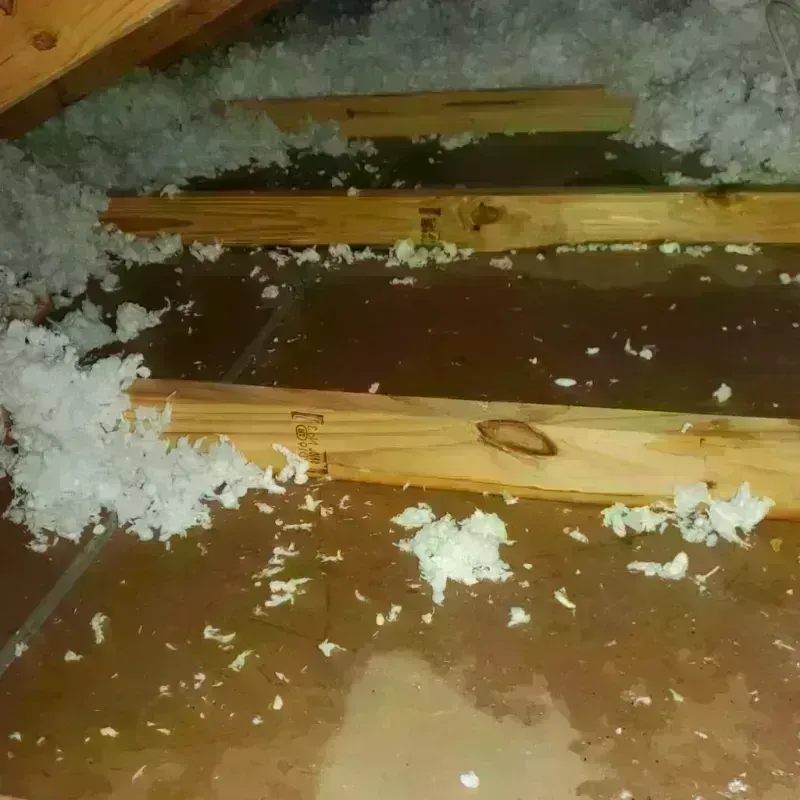 Attic Water Damage in Greensville County, VA